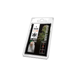 Semillas Auto Florecientes White Widow