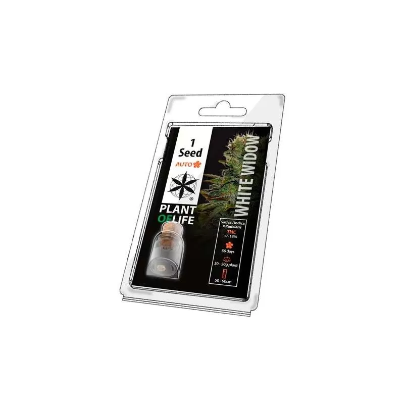 Semillas Auto Florecientes White Widow