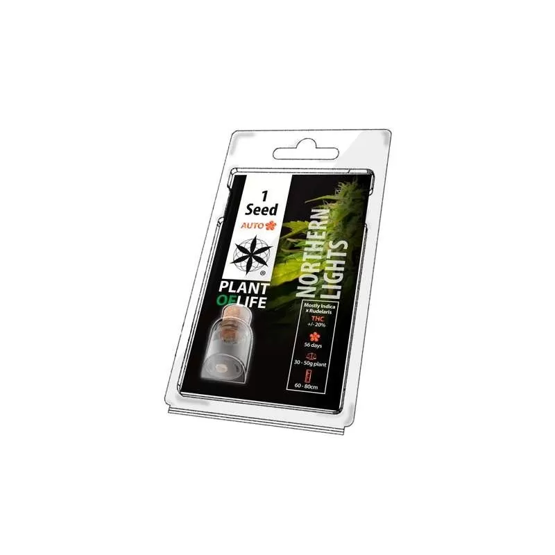Semillas Auto Florecientes Northern Lights
