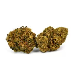 Flor CBD Critical Jack