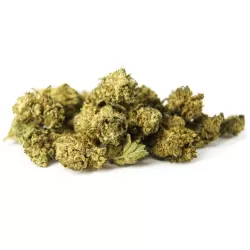 Flor CBD PopCorn