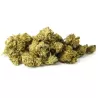 Flor CBD PopCorn