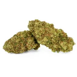 Flor CBD White Melon
