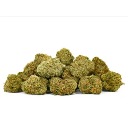 Flor CBD Jungle Fruit