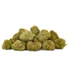 Flor CBD Jungle Fruit