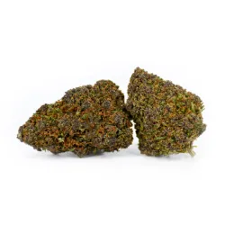 Flor de CBD Purple Saphire
