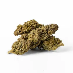 Flor de CBD Carmagnola Cheese