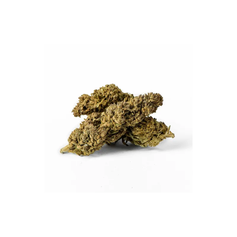 Flor de CBD Carmagnola Cheese