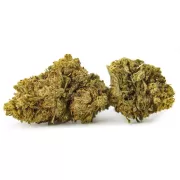 Flores de CBD de Calidad – Cultivo Natural | CBD Variedad